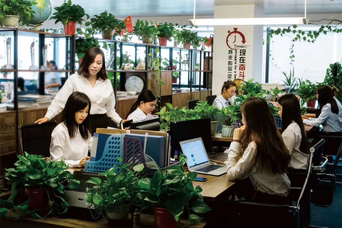 河南全占商務信息咨詢 專業護航企業發展的智慧合伙人